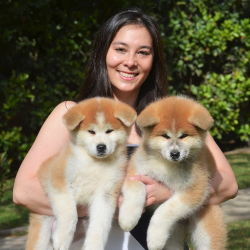 Fotografía de mujer número 6 con cachorros Akita Inu