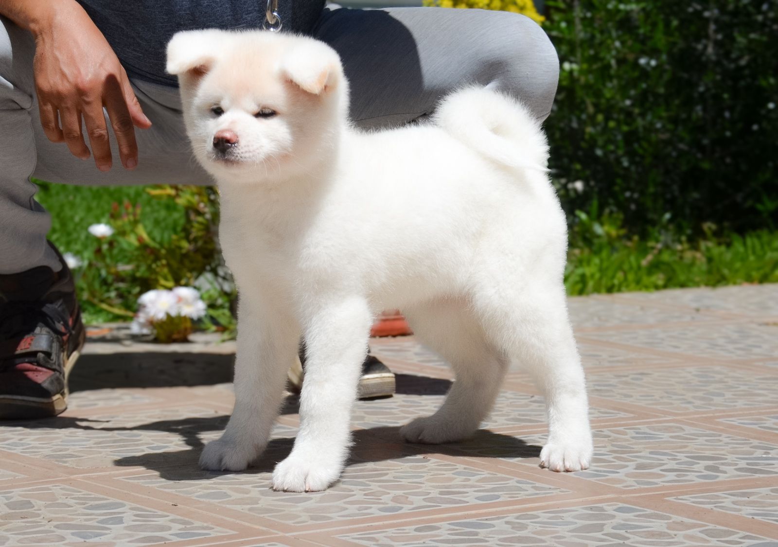 162baf44-b0e7-41ef-8da0-39980df7ea28