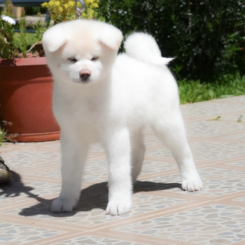 757ab1b0-ce64-4f4c-a014-c077d3f4bf29