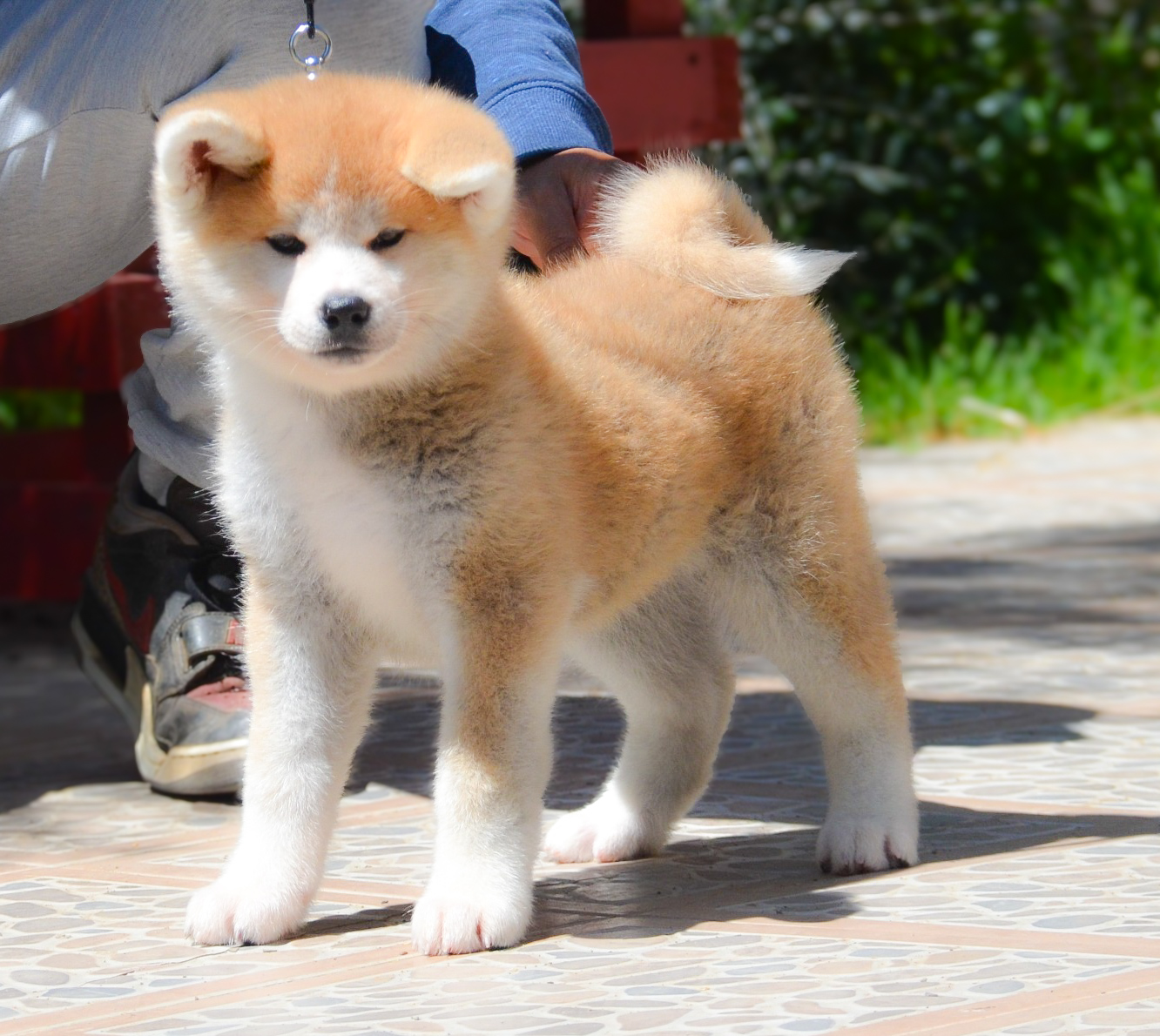 ab7871c5-67be-4f5d-b414-d6624de48ca5